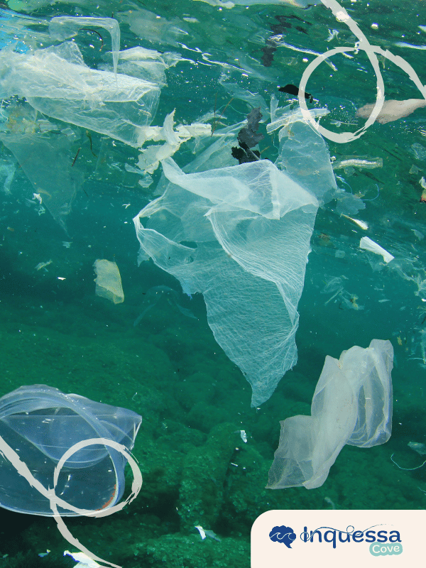Fish swimming beneath floating plastic bags and other debris