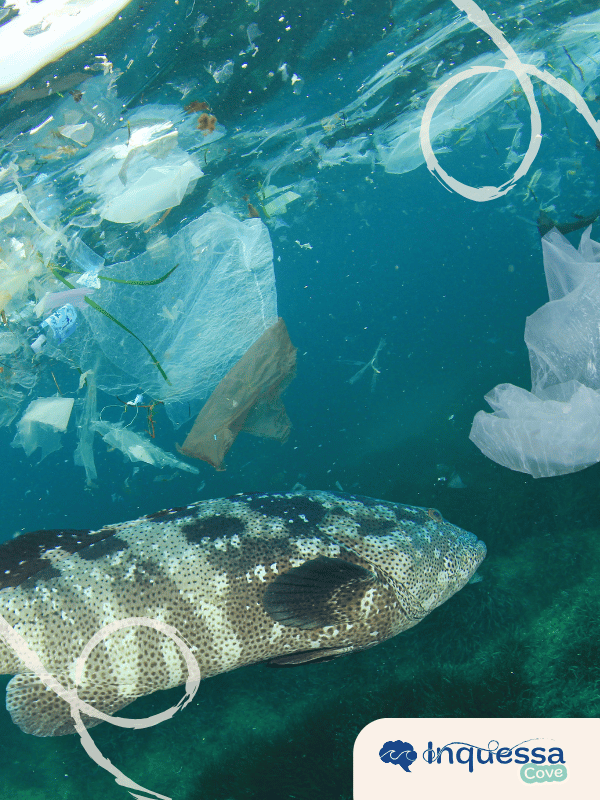 Plastic bags and fragments floating underwater